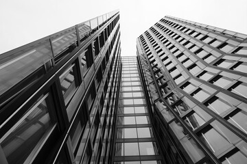 Sleek modern office in timeless monochrome