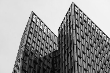 Sleek modern office in timeless monochrome