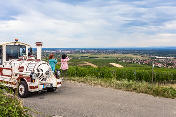 Naklejka premium Petit train touristique dans les vignes alsaciennes d’Eguisheim 