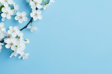 Spring Flower Frame On Blue Background With Flat Lay Arrangement And Copy Space Mockup . Сoncept Spring Flower Frame, Blue Background, Flat Lay Arrangement, Copy Space Mockup