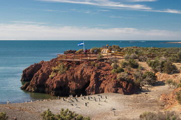 Argentinian flag on the coast