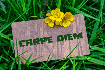 Carpe diem