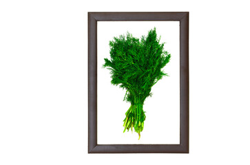 Dill in a wooden photo frame on a white isolated background