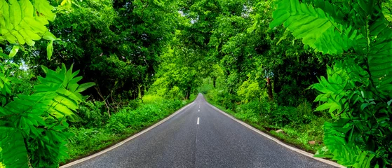 Poster asphalt road  in rainforest  landscape with green leaves © travelview