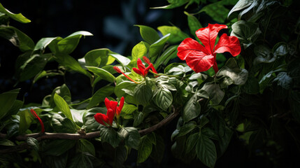 A lush tropical vine with long, bright green leaves and a single red flower
