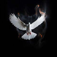 white dove flying in the sky bird, dove, pigeon, flying, white, peace, wing, animal, love, fly, feather, sky, vector, nature, 