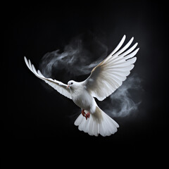 Obraz premium white dove flying in the sky bird, white, dove, flying, pigeon, parrot, flight, animal, feather, wing, nature, cockatoo, peace, 