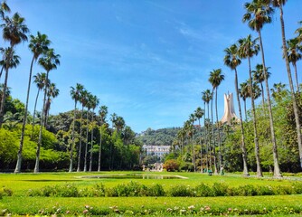 Hamma test garden in Algiers. Algeria