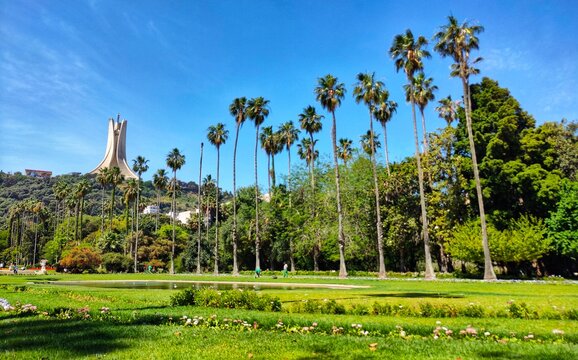 Hamma test garden in Algiers. Algeria