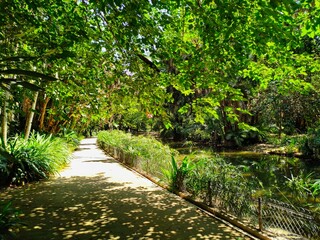 Hamma test garden in Algiers. Algeria