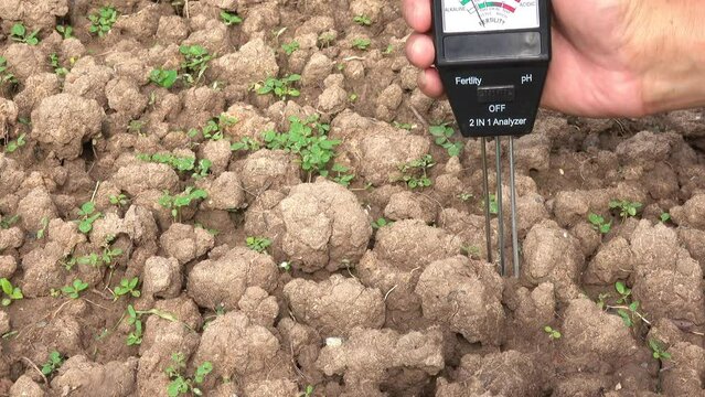 Human hand checking ph in the soil