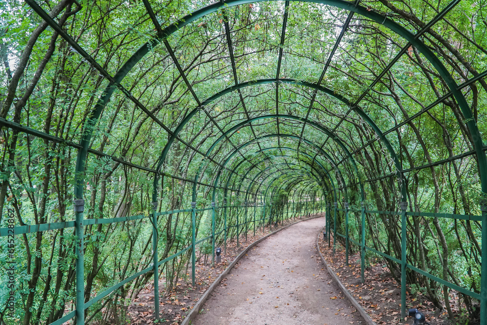 Wall mural walkway in the park