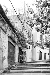  the narrow streets and the old buildings of the ancient casbah of Algiers in black and white . Algeria