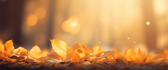 Forest Floor Covered in Yellow and Orange Fallen Leaves, Wide Autumn Background - AI Generated