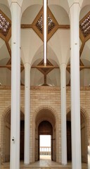 the main entrance to the great mosque of Algiers, the gates and the giant columns