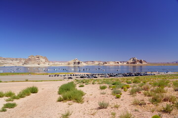 The lake Powell, near Page (AZ)