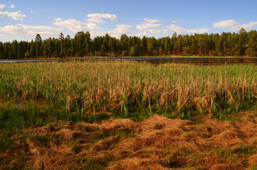 Lake of the Woods Arizona