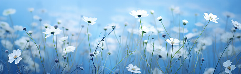 Beautiful spring border, blooming flowers on a blue background. 