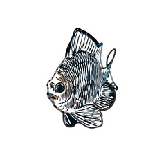 Color sketch of ornamental fish with a transparent background to learn coloring and logo elements