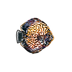 Color sketch of ornamental fish with a transparent background to learn coloring and logo elements