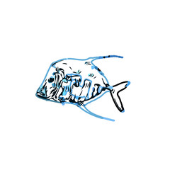 Color sketch of ornamental fish with a transparent background to learn coloring and logo elements
