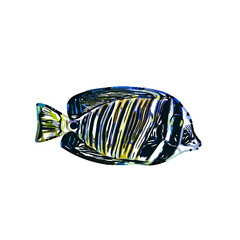 Color sketch of ornamental fish with a transparent background to learn coloring and logo elements