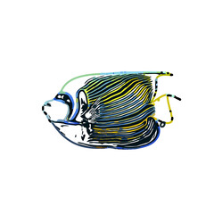 Color sketch of ornamental fish with a transparent background to learn coloring and logo elements