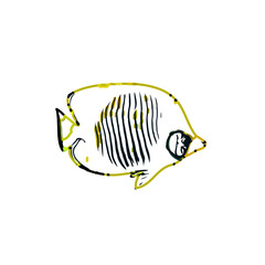 Color sketch of ornamental fish with a transparent background to learn coloring and logo elements