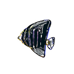 Color sketch of ornamental fish with a transparent background to learn coloring and logo elements