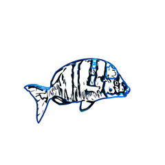 Color sketch of ornamental fish with a transparent background to learn coloring and logo elements