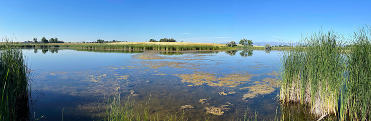 Pond in Wellington Wildlife Area in Wellington, Colorado