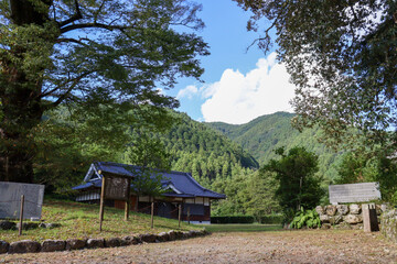 パワースポット廣瀬神社にある樹齢1000年以上のケヤキと秋晴れ