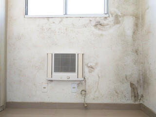 White bedroom wall with mold and fungi. Moisture problem