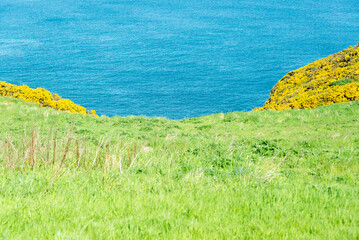 seaside landscape over the cliffs close to Cullen village, Scotland