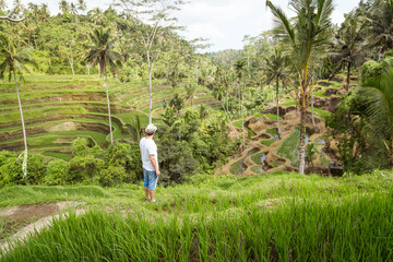 Tegalalang rice paddy in Ubud