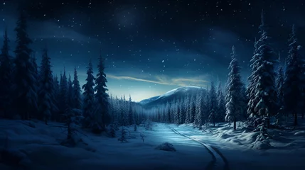 Foto op Canvas A night glade with snow-covered trees. View of the winter forest, a place of outdoor recreation © Olivia