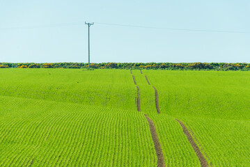 countryside landscape in the area around Cullen, Scotland