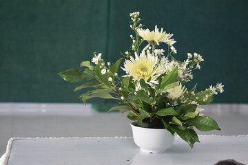 photo of flower pot on the table