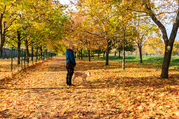 Handsome man walking his labrador retriever dog in autumn park