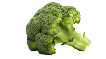 Broccoli. Isolated on Transparent background.