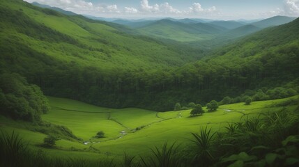 Obraz premium Landscape with grass and mountains
