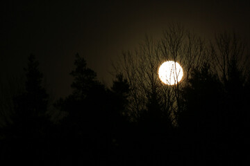 Full moon with a golden sky