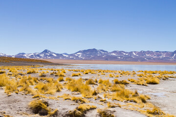 Bolivian lagoon landscape,Bolivia