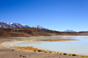 Laguna Honda view, Bolivia