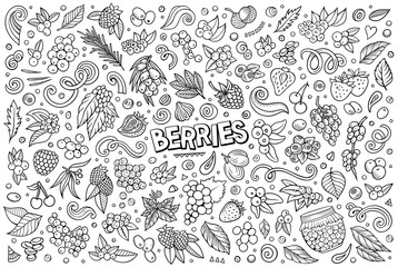 Cartoon Berry fruits objects and symbols doodle set