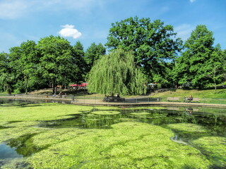 berlin, deutschland - grüne oase im volkspark friedrichshain