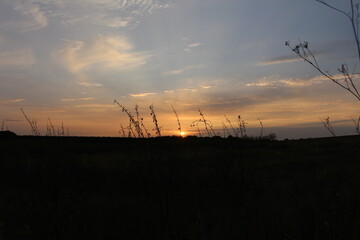 Obraz premium A sunset over a field