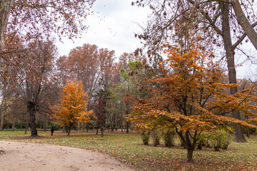 autumn forests and landscapes