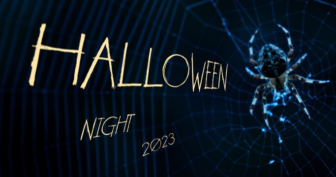 halloween night 2023 left side| right side gigantic spider | cobe web at the backgraound