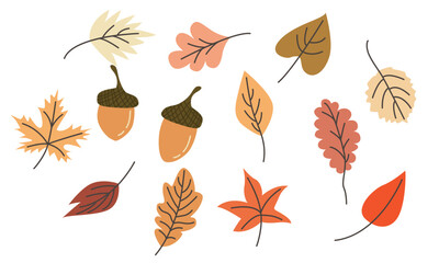 Fototapeta premium Set of autumn elements. Leaves, acorns, autumn flowers